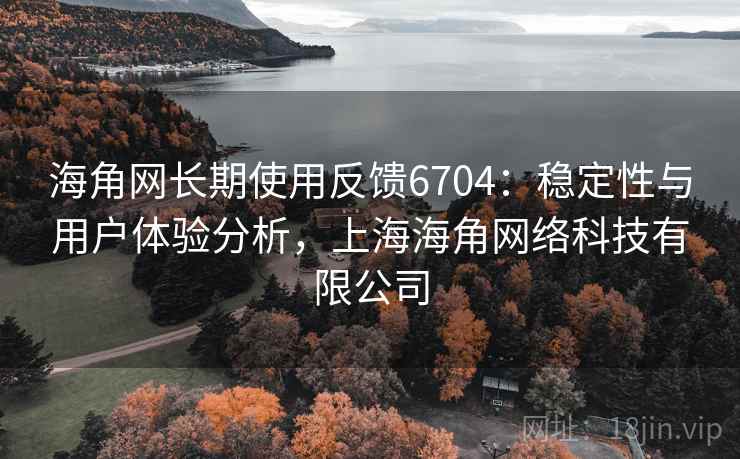 海角网长期使用反馈6704：稳定性与用户体验分析，上海海角网络科技有限公司