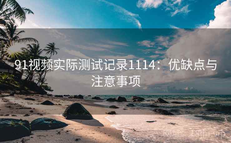 91视频实际测试记录1114：优缺点与注意事项