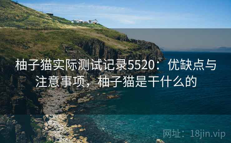 柚子猫实际测试记录5520：优缺点与注意事项，柚子猫是干什么的
