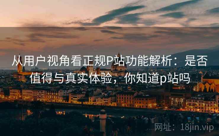 从用户视角看正规P站功能解析：是否值得与真实体验，你知道p站吗
